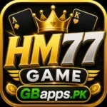 HM77
